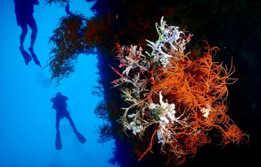 [8D7N Leisure Cruise] Sorong- Raja Ampat – Sorong