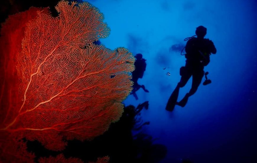 [8D7N Leisure Cruise] Sorong- Raja Ampat – Sorong