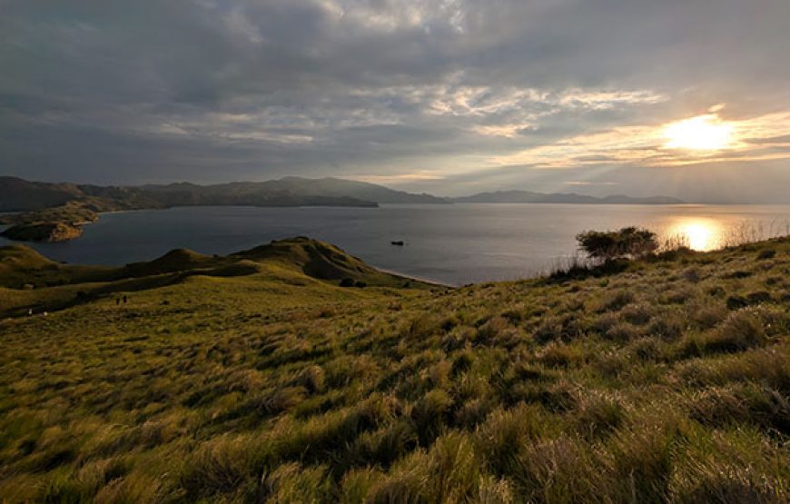 [7D6N Diving Cruise] Sumbawa – Komodo