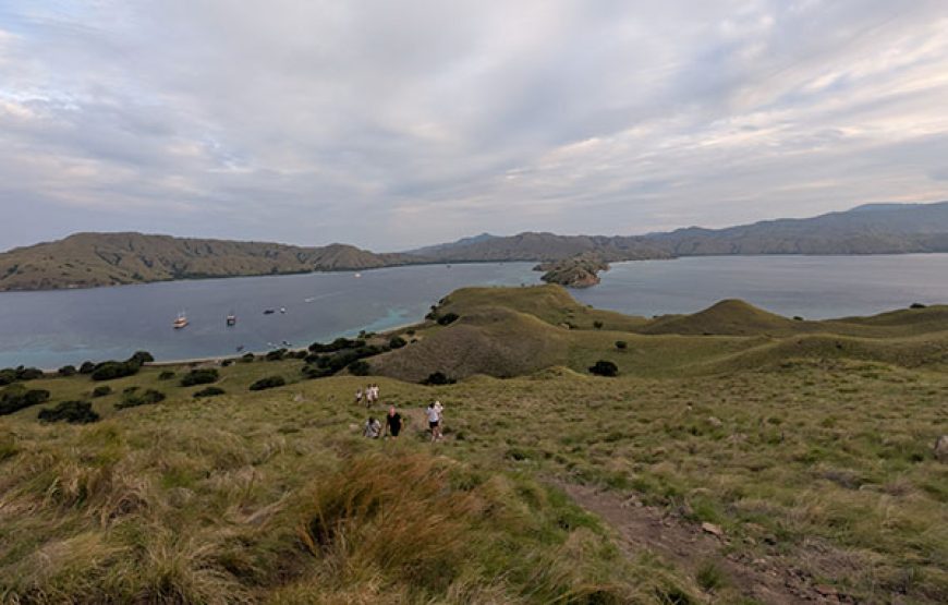 [7D6N Diving Cruise] Sumbawa – Komodo