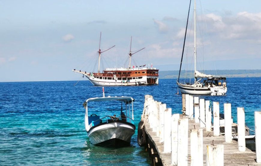 [10D9N Leisure Cruise] Sorong-Misool-Ambon