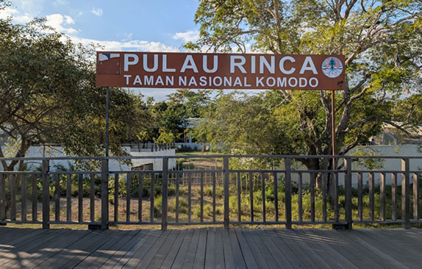[7D6N Diving Cruise] Sumbawa – Komodo