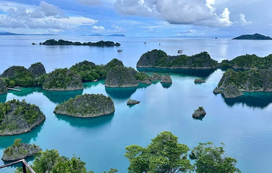 [10D9N Leisure Cruise] Sorong-Misool-Ambon