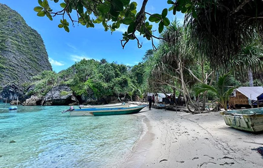 [10D9N Leisure Cruise] Sorong-Misool-Ambon